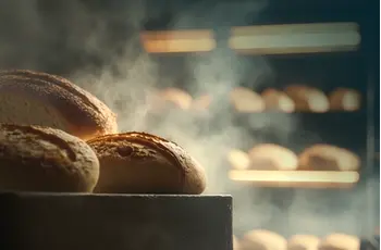 A Comprehensive Guide to Bakery Equipment