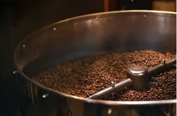 A Guide to Different Coffee Roast Light, Medium, and Dark Roast Coffee Explained